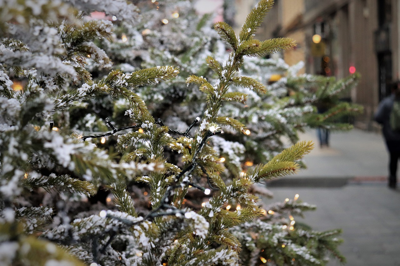 this image shows Folsom Holly Jolly Christmas lights installation in Sacramento, CA