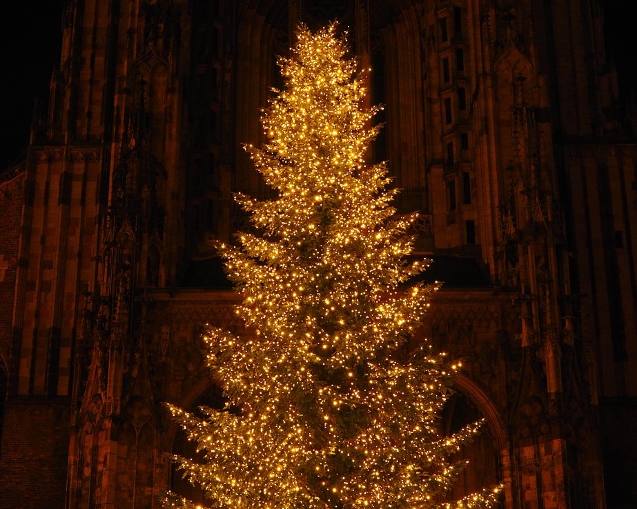 this image shows tree Christmas lights in Sacramento, CA