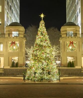 this image shows tree Christmas lights in Sacramento, CA