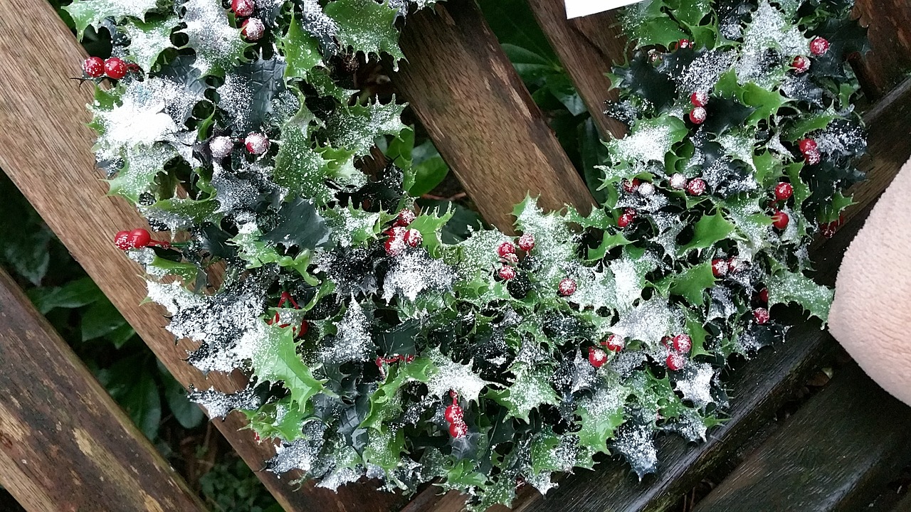 this image shows garlands in Sacramento, CA