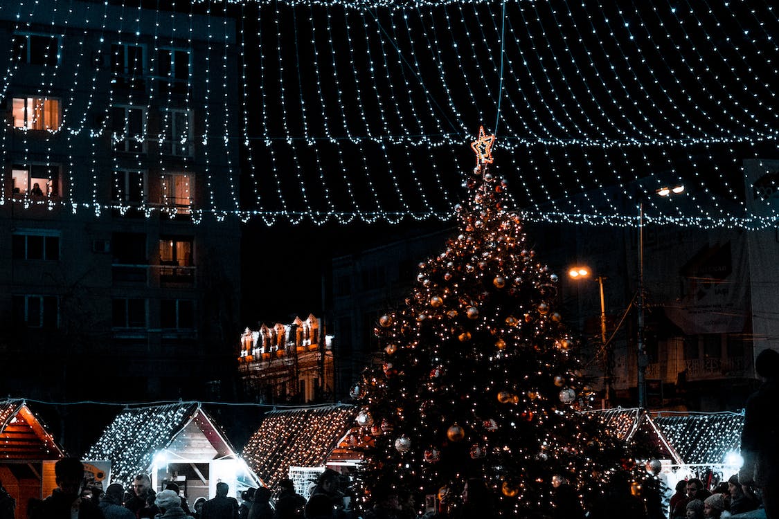 this image shows tree Christmas lights in Sacramento, CA