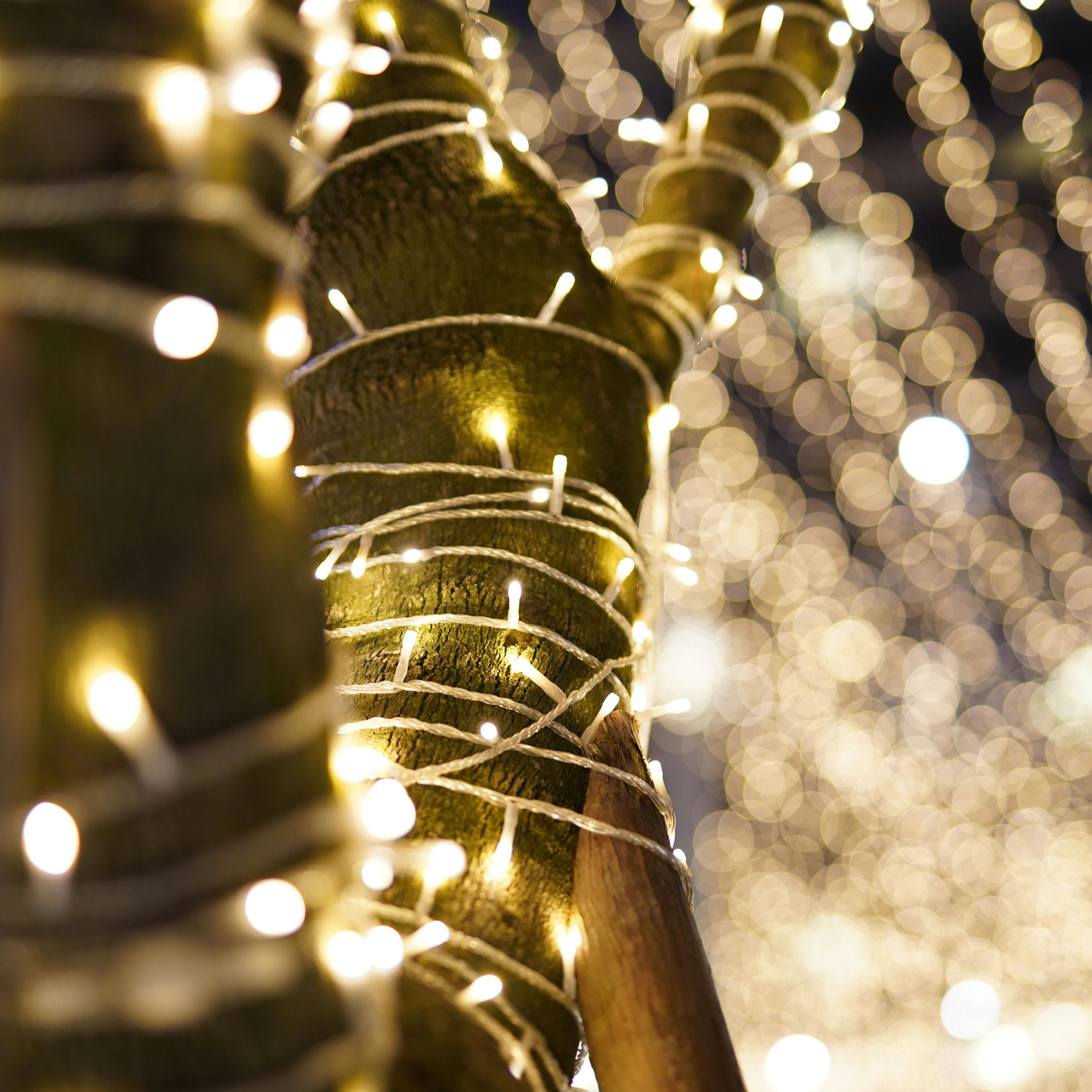 Roofline and yard holiday lighting, South Land Park Christmas light installation