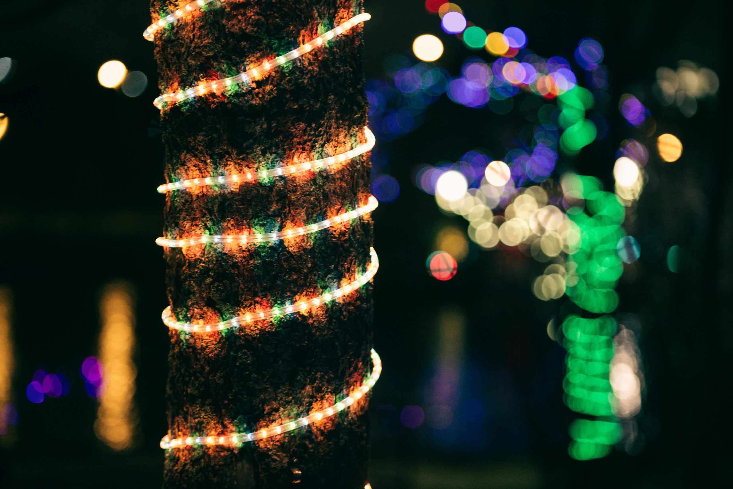 this image shows Christmas lights in Lincoln, CA