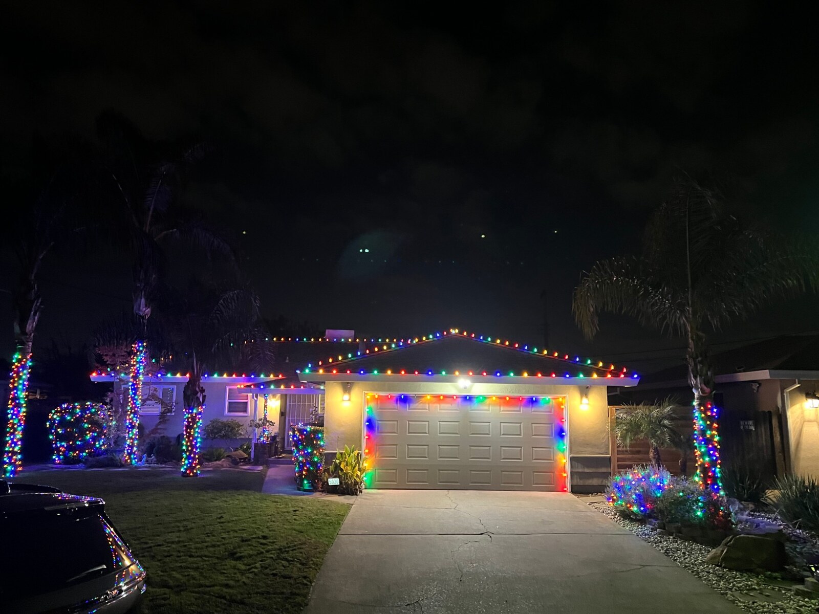 Christmas light company in Sacramento, CA: ranch multicolor roofline garage outline palm wraps