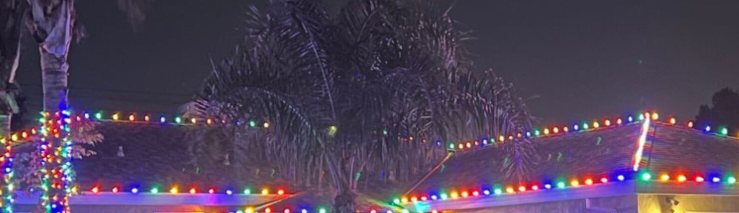 Holiday light installation in Auburn, CA: multicolor c9 eave run palm wrap